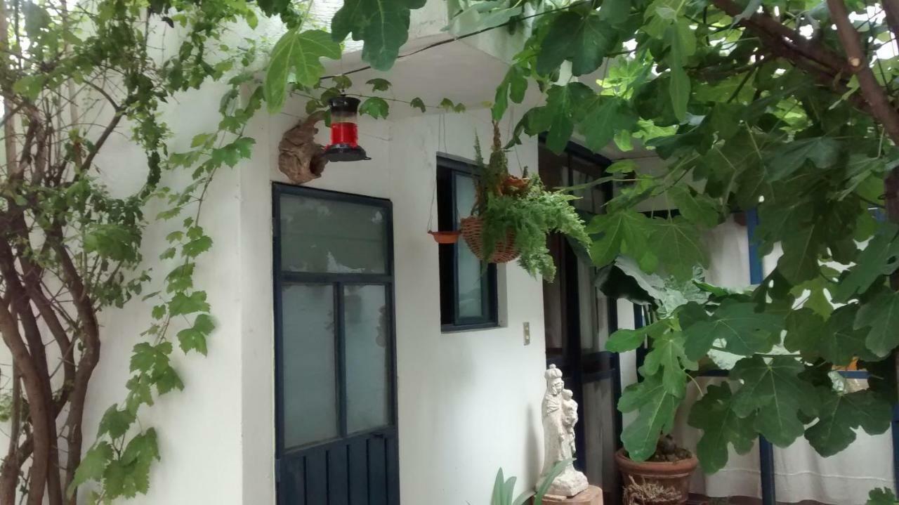 Hostal El Cascabel チョルーラ エクステリア 写真