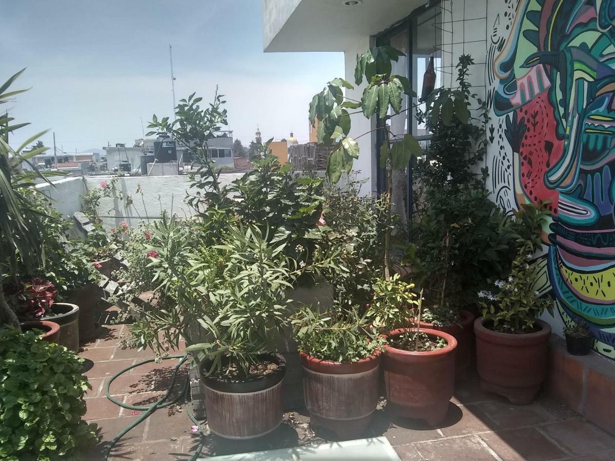Hostal El Cascabel チョルーラ エクステリア 写真